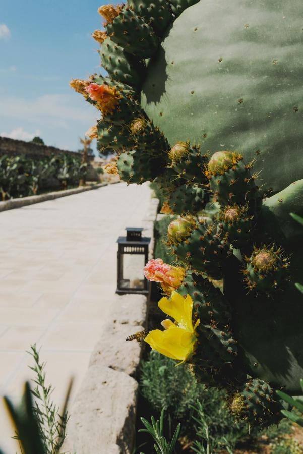 Bed and Breakfast Masseria Paralupi Lecce Exterior foto